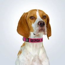 Load image into Gallery viewer, personalised pet collar