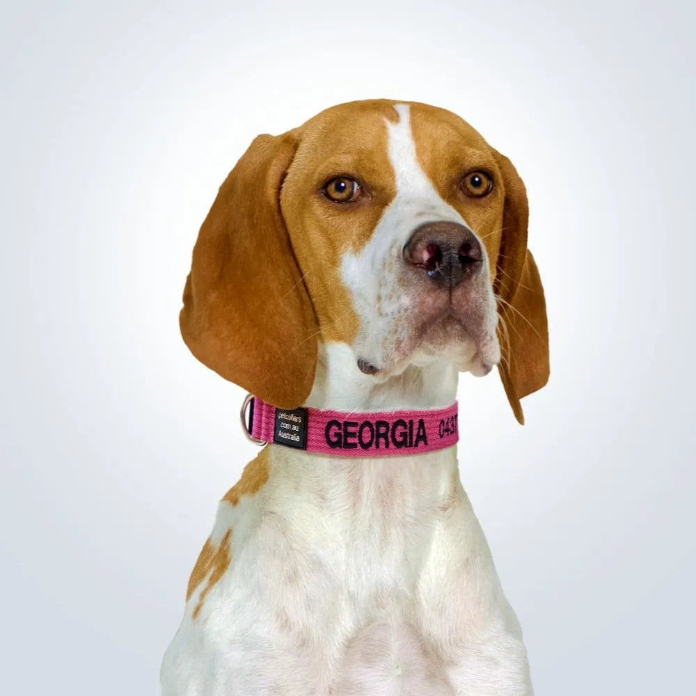 Featured Dog Accessories & Essentials