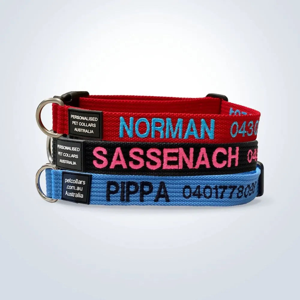 Dog collars with names and phone numbers cheap