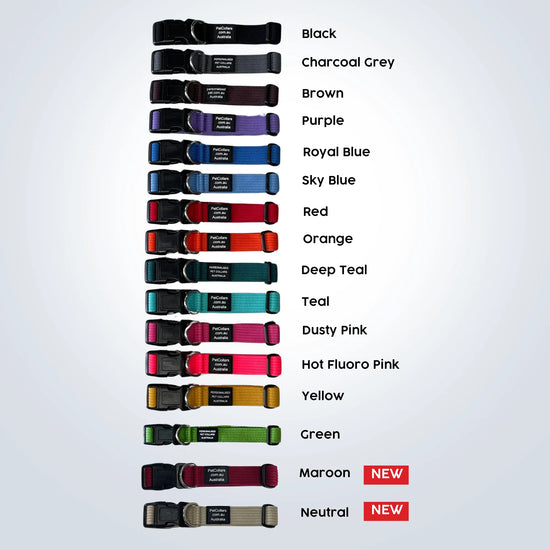 personalised pet collars