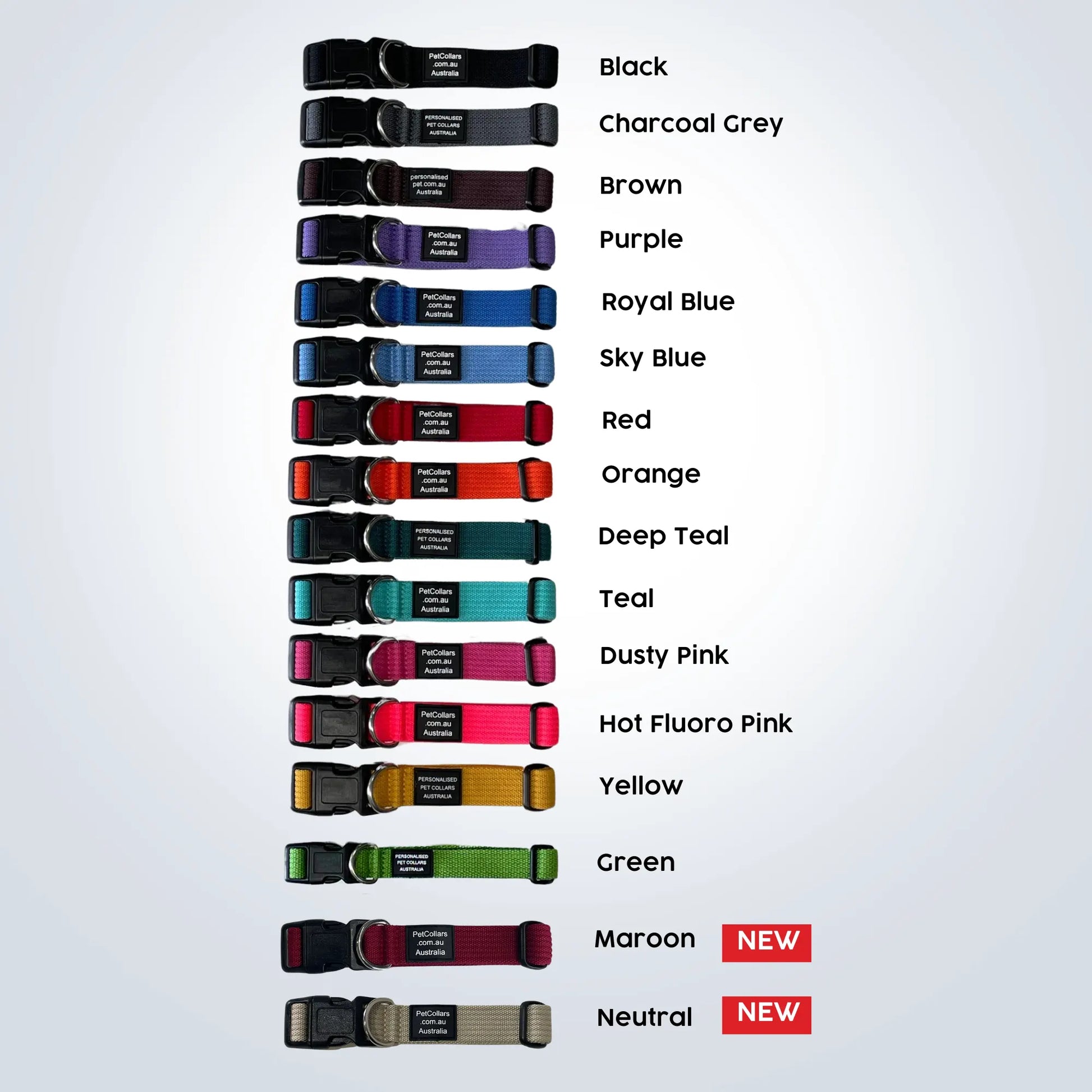 personalised pet collars