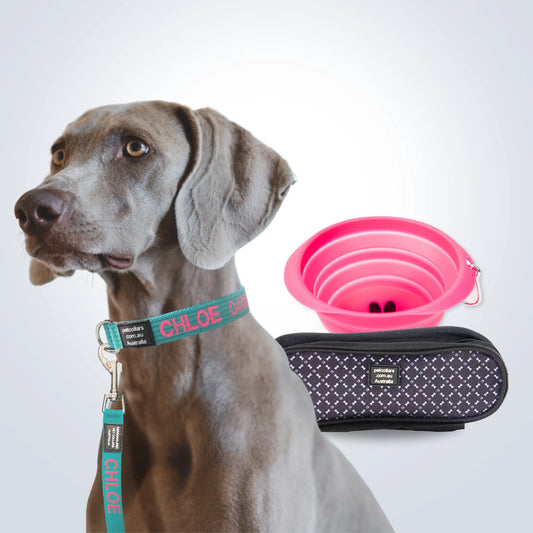 Dog Walking Super Bundle Wide Medium