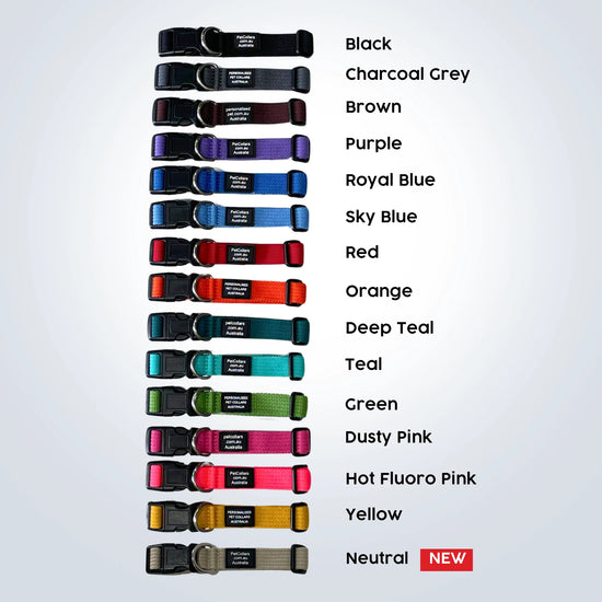 personalised pet collars