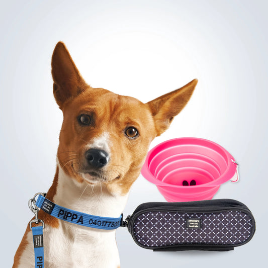 Dog Walking Super Bundle Wide small