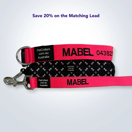 extra large matching collar and lead
