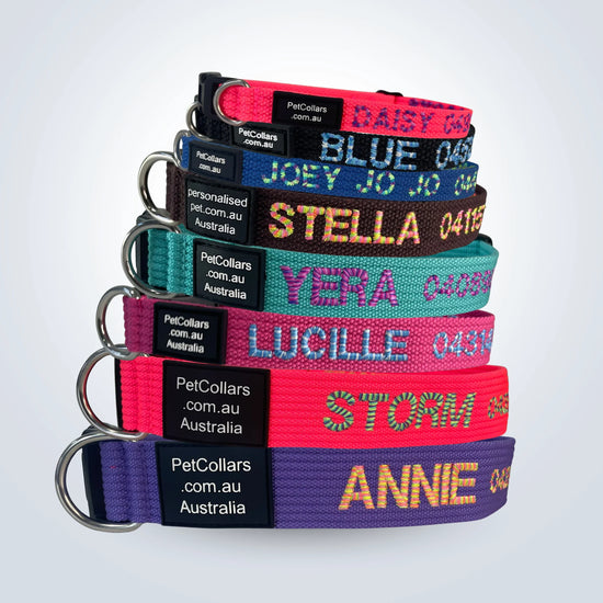 Custom embroidered pet collar with candy stripe embroidery