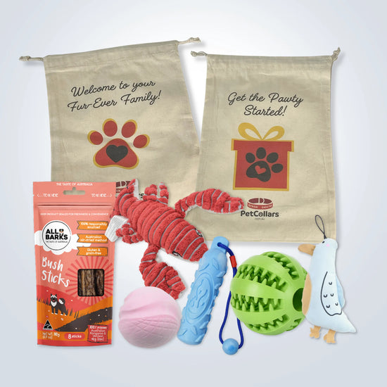 Deluxe Gift Set for Large Dogs with treats, toys and gift bag