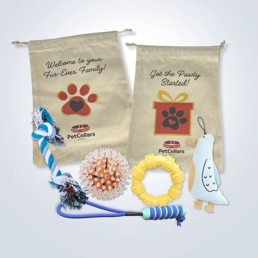 Signature Gift Set for Large Dogs with toys and gift bag
