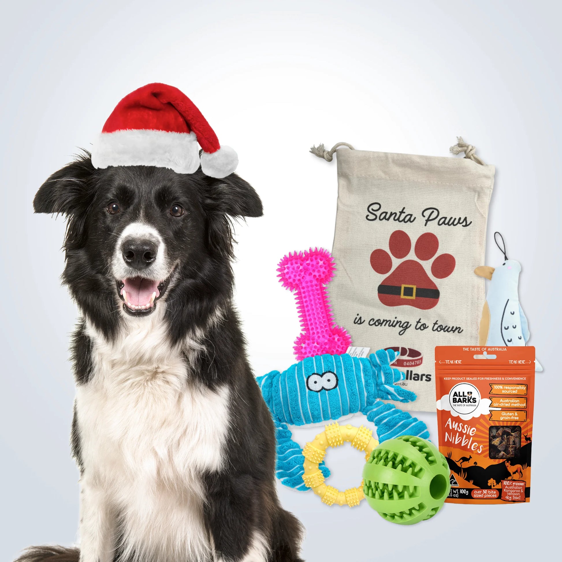 Christmas Deluxe Gift Set for Medium Dogs with treats, toys and Christmas gift bag