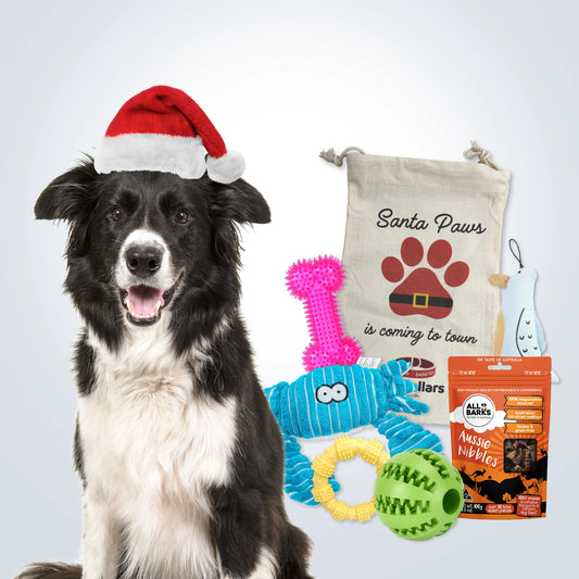 Christmas Deluxe Gift Set for Medium Dogs with treats, toys and Christmas gift bag