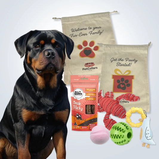 Deluxe Gift Set for Large Dogs with treats, toys and gift bag