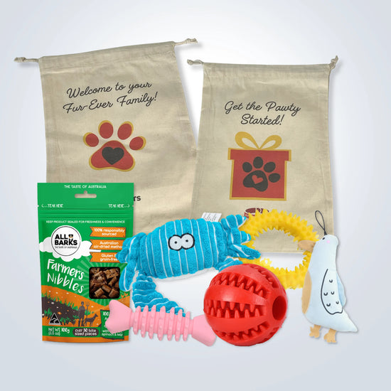 Deluxe Gift Set for Small Dogs with treats, toys and gift bag