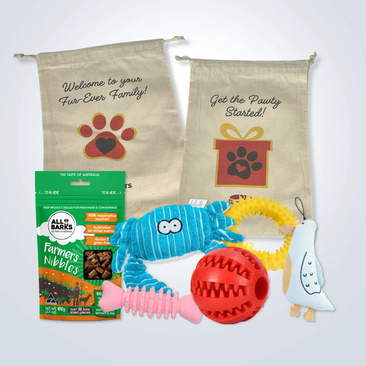 Deluxe Gift Set for Small Dogs with treats, toys and gift bag