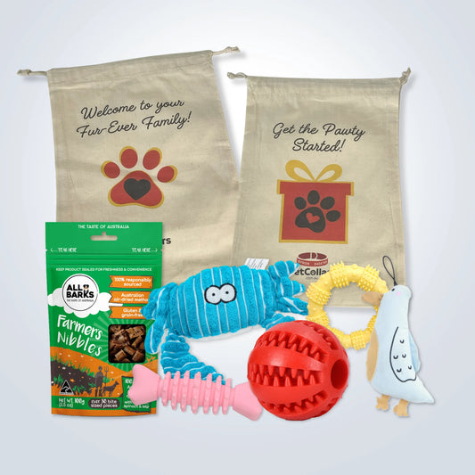 Deluxe Gift Set for Small Dogs with treats, toys and gift bag