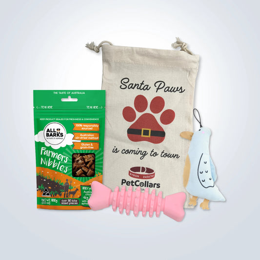 Christmas Stocking Filler Gift Set for Small Dogs with toys, treats and festive gift bag