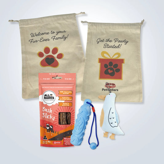 Essentials Gift Set for Large Dogs with toys, treats and gift bag