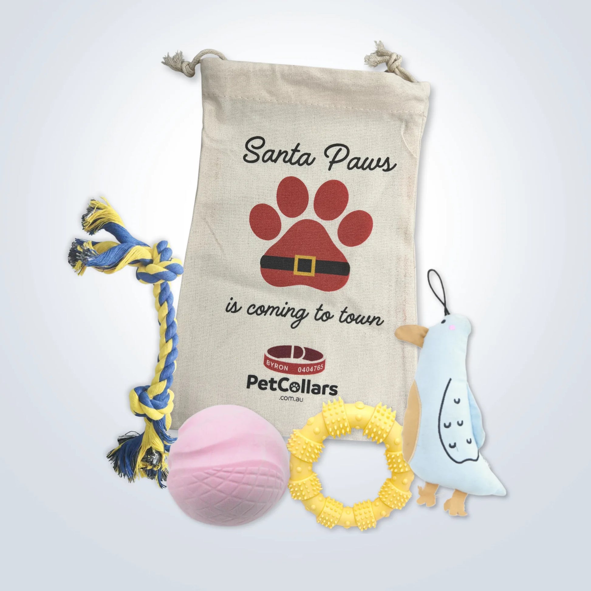 Christmas Signature Gift Set for Medium Dogs with toys and festive gift bag