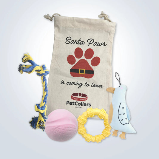 Christmas Signature Gift Set for Medium Dogs with toys and festive gift bag