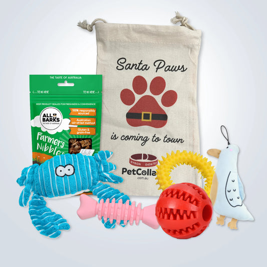 Christmas Deluxe Gift Set for Small Dogs with treats, toys and Christmas gift bag