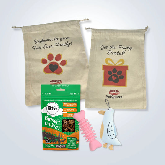 Essentials Gift Set for Small Dogs with toys, treats and gift bag