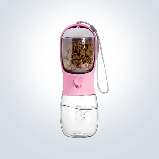 water bottle and feeder for dogs