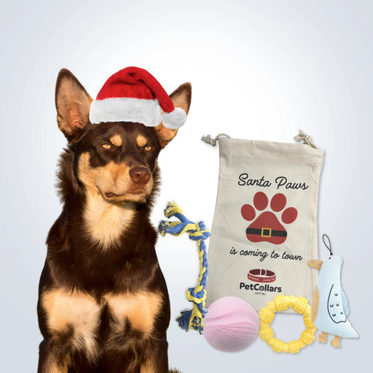 Christmas Signature Gift Set for Medium Dogs with toys and festive gift bag