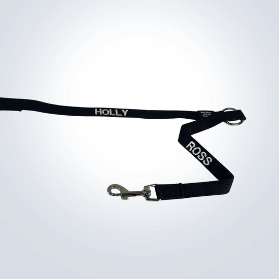 custom pet double walker