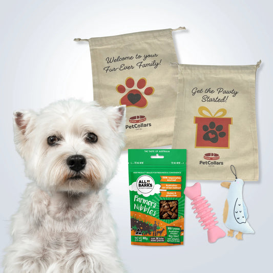 Essentials Gift Set for Small Dogs with toys, treats and gift bag