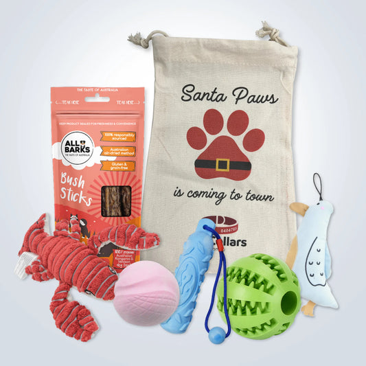 Christmas Deluxe Gift Set for Large Dogs with treats, toys and Christmas gift bag