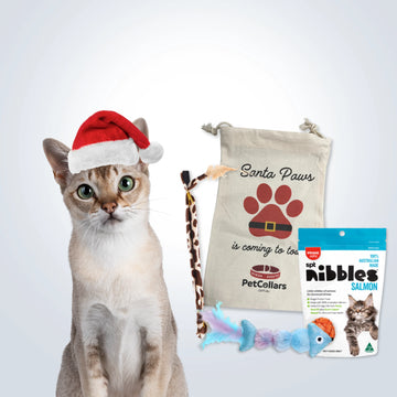 Christmas Stocking Filler Gift Set for Cats with toys, treats and festive gift bag