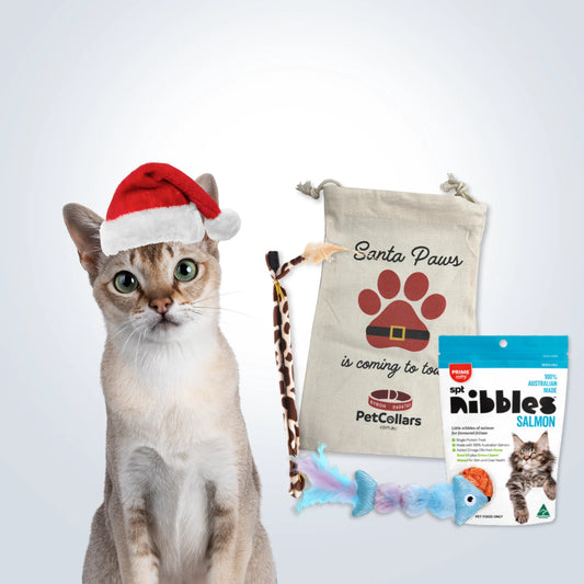 Christmas Stocking Filler Gift Set for Cats with toys, treats and festive gift bag