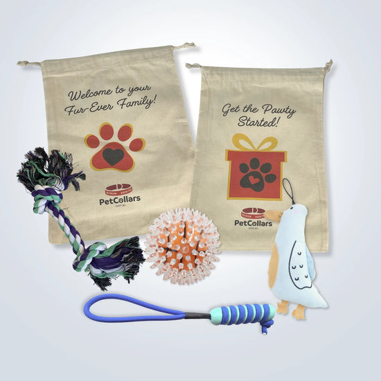 Signature Gift Set for Large Dogs with toys and gift bag