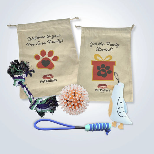 Signature Gift Set for Large Dogs with toys and gift bag