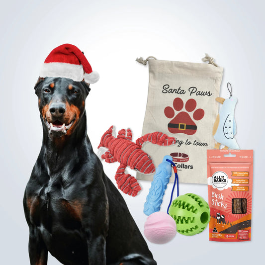 Christmas Deluxe Gift Set for Large Dogs with treats, toys and Christmas gift bag