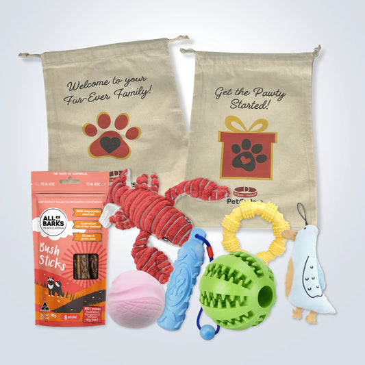 Deluxe Gift Set for Large Dogs with treats, toys and gift bag