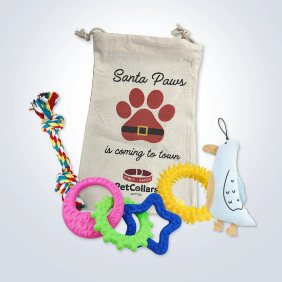 Christmas Signature Gift Set for Small Dogs with toys and festive gift bag