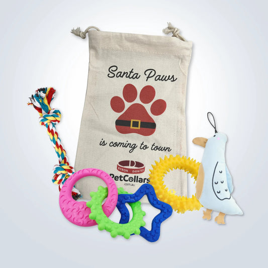Christmas Signature Gift Set for Small Dogs with toys and festive gift bag