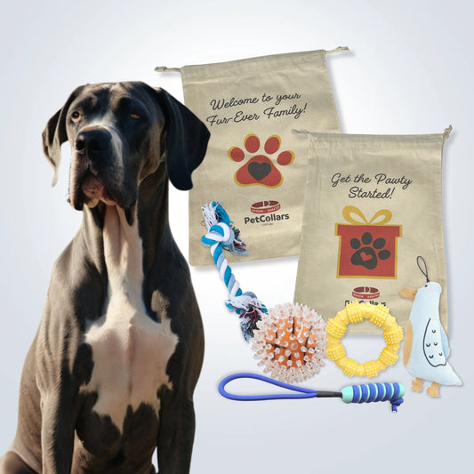 Signature Gift Set for Large Dogs with toys and gift bag