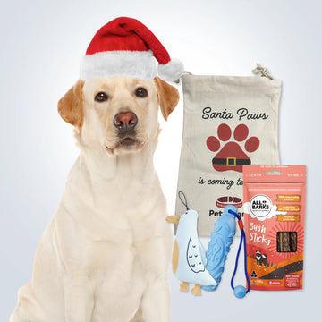 Christmas Stocking Filler Gift Set for Large Dogs with treats, toys and Christmas gift bag
