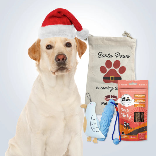 Christmas Stocking Filler Gift Set for Large Dogs with treats, toys and Christmas gift bag