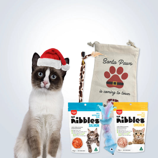 Christmas Signature Gift Set for Cats with treats, toys and festive gift bag