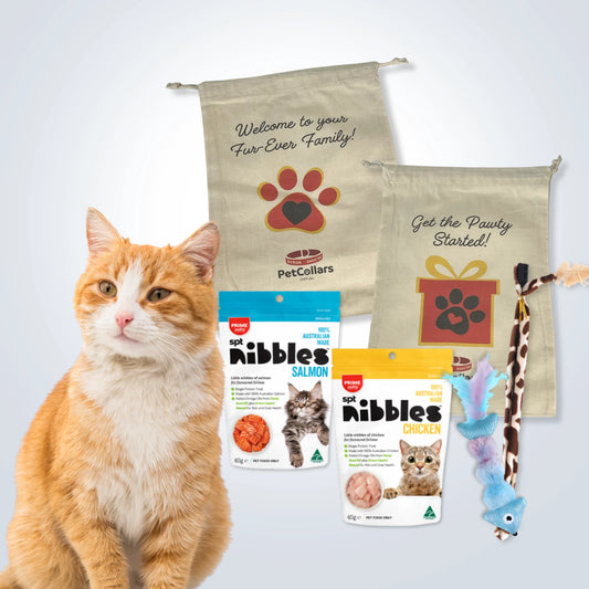 Signature Gift Set for Cats with treats, toys and gift bag