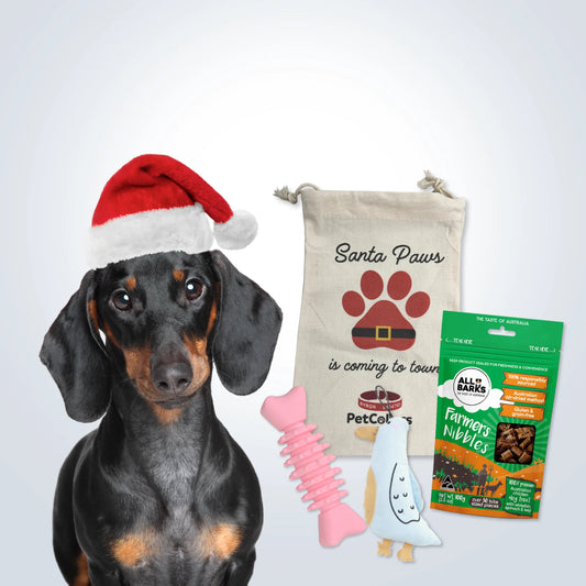 Christmas Stocking Filler Gift Set for Small Dogs with toys, treats and festive gift bag