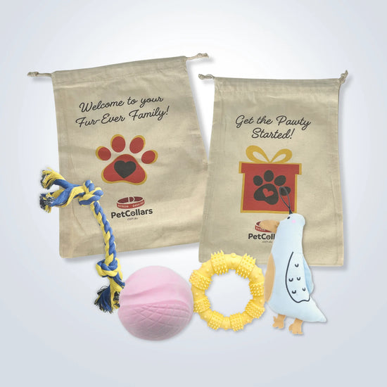 Signature Gift Set for Medium Dogs with toys and gift bag