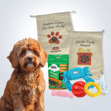 Deluxe Gift Set for Small Dogs with treats, toys and gift bag