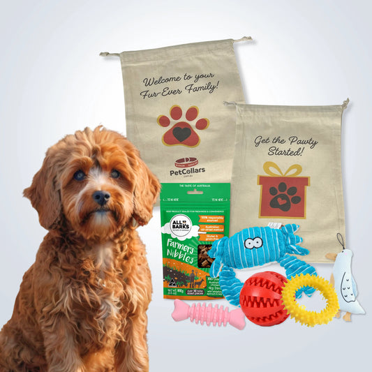 Deluxe Gift Set for Small Dogs with treats, toys and gift bag