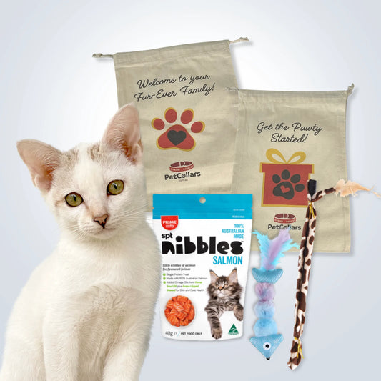 Essentials Gift Set for Cats with toys, treats and gift bag