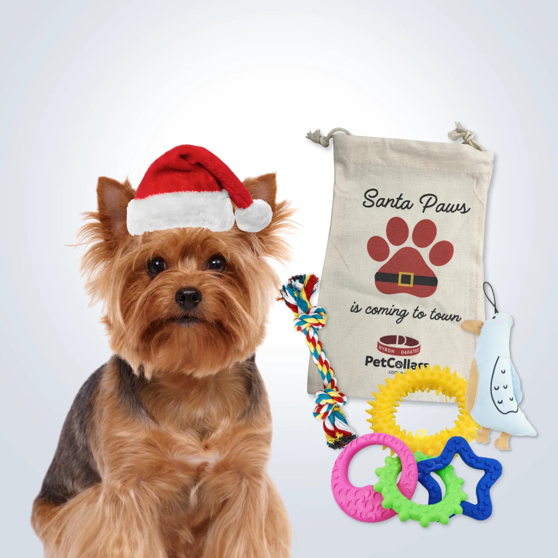 Christmas Signature Gift Set for Small Dogs with toys and festive gift bag