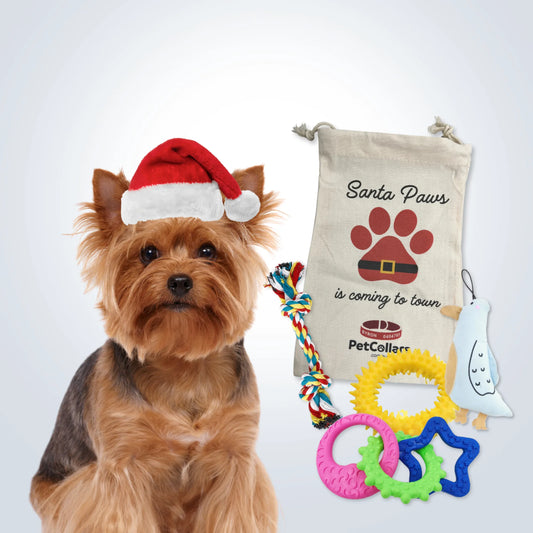 Christmas Signature Gift Set for Small Dogs with toys and festive gift bag