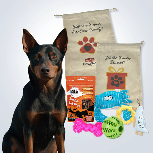 Deluxe Gift Set for Medium Dogs with treats, toys and gift bag